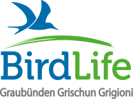 Birdlife Graubünden