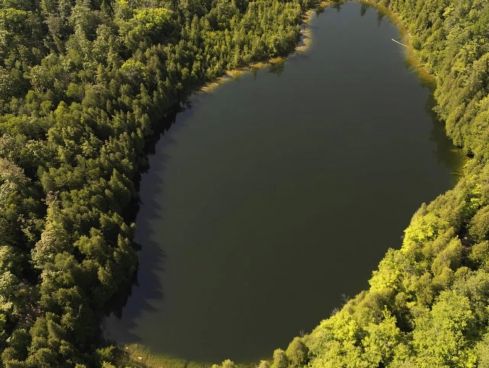 Der kleine Crawford Lake im Südosten Kanadas. (Bild: 10.07.23)
COLE BURSTON/THE CANADIAN PRESS VIA AP